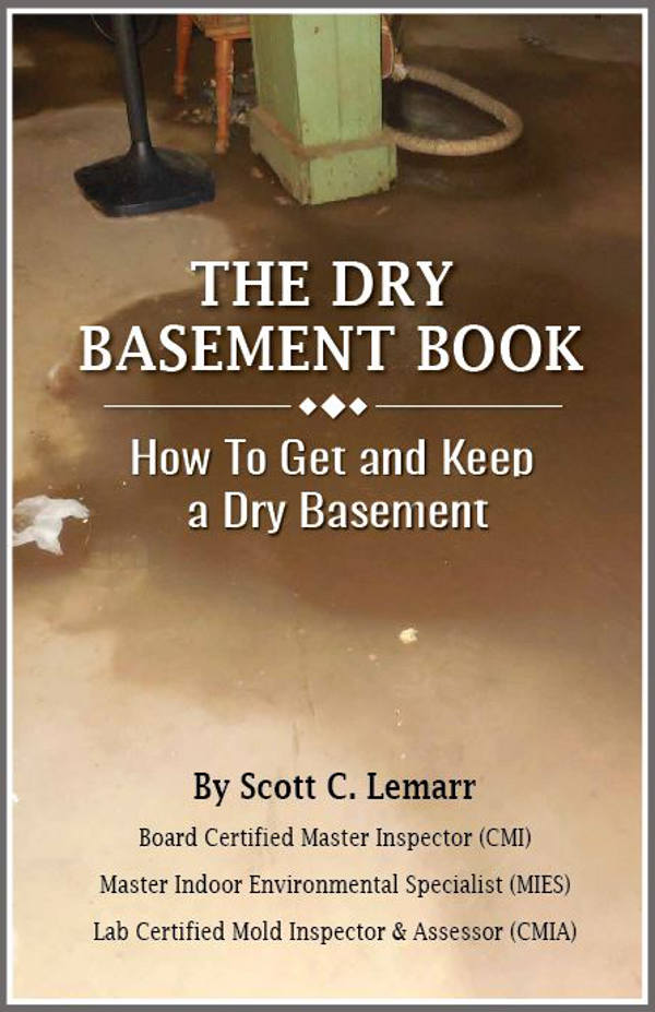 Cover of The Dry Basement Book